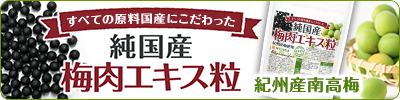 純国産 梅肉エキス粒