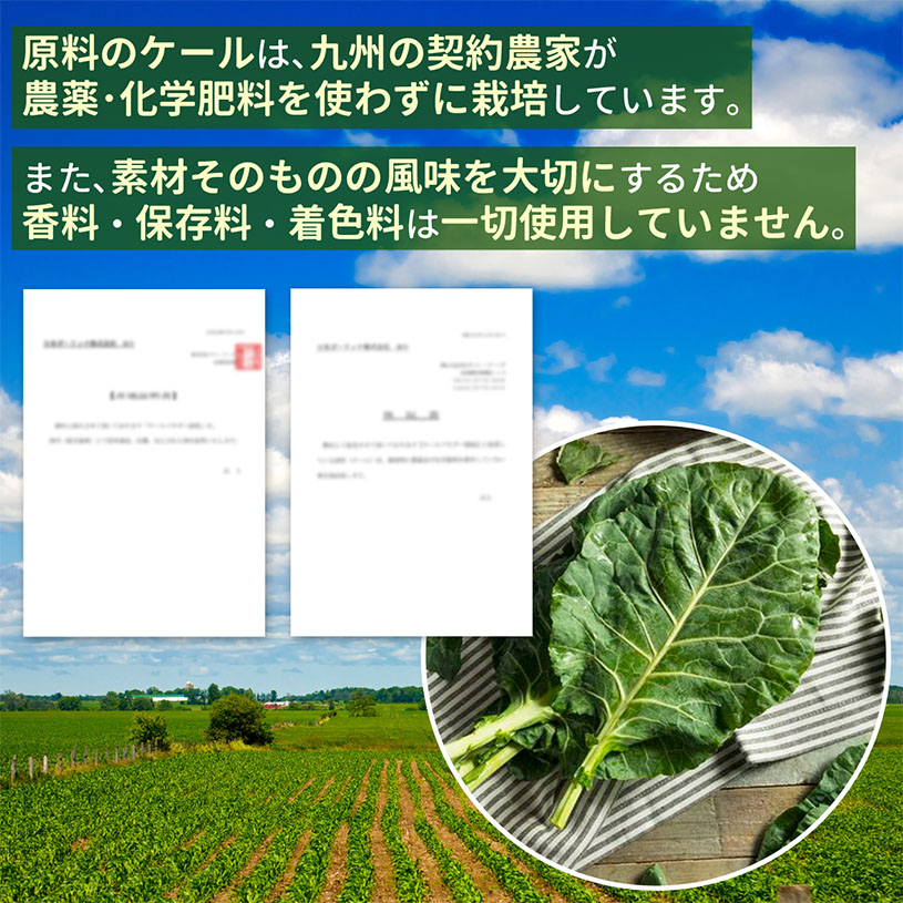 純国産ケール青汁