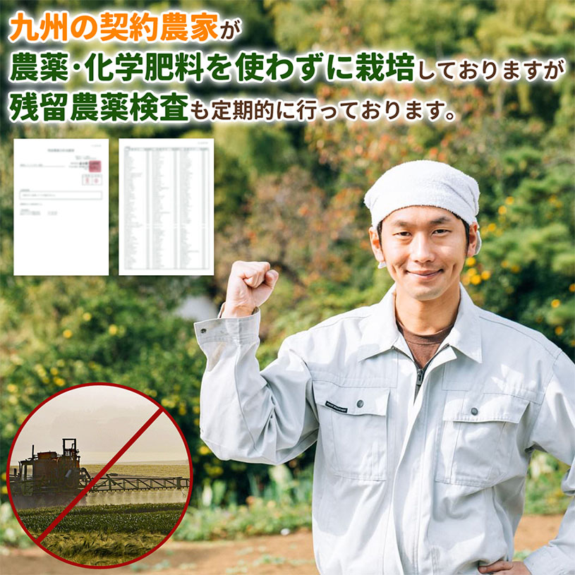 純国産ケール青汁