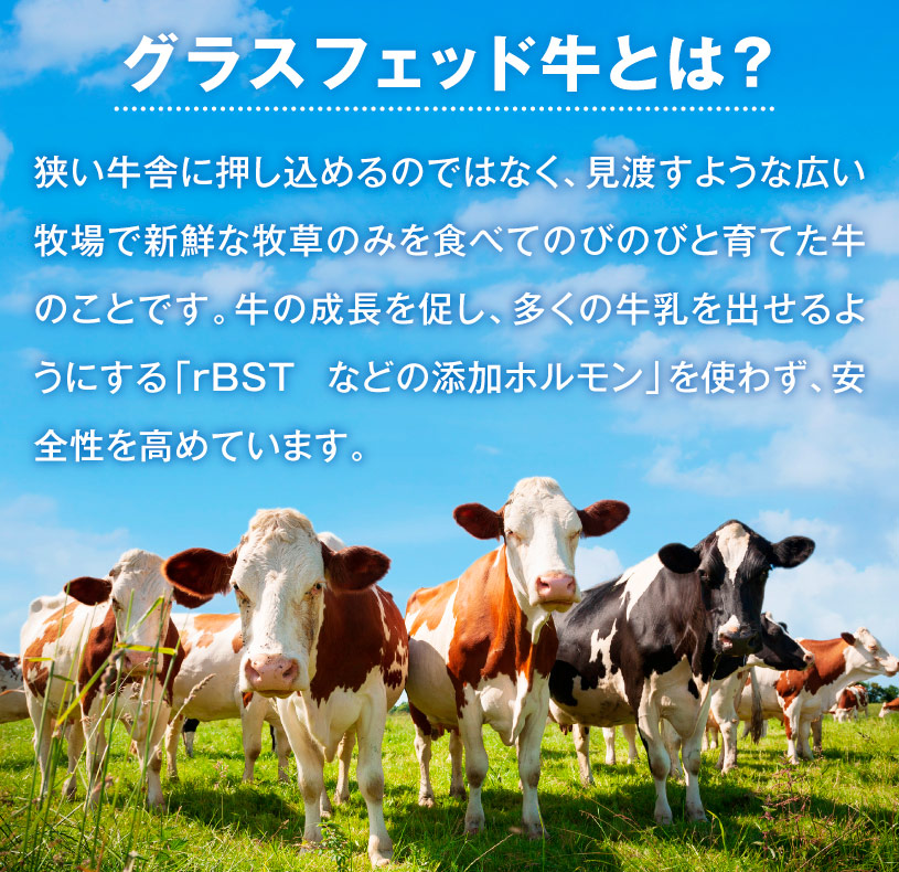 ＡＵＳ　ホエイプロテイン　グラスフェッド