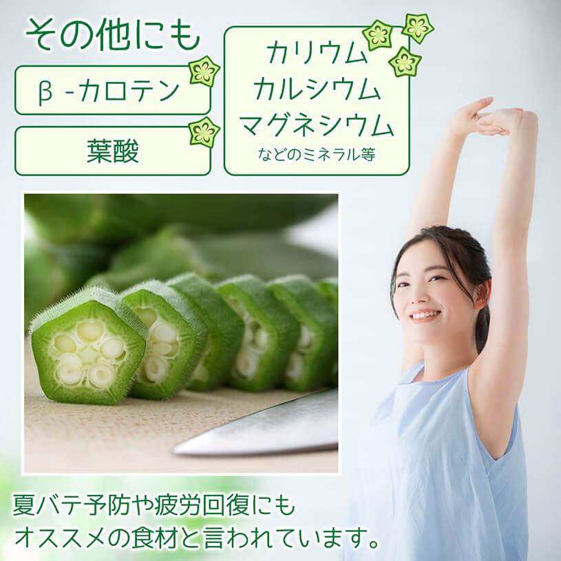 高知県産 オクラパウダー