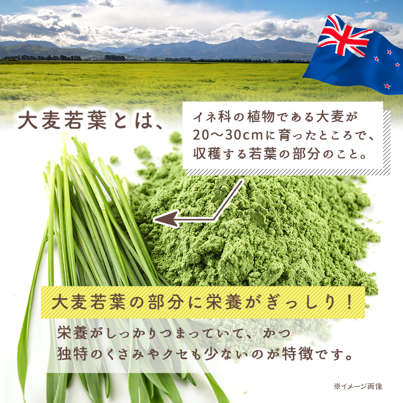 一番刈り大麦若葉粉末(ニュージーランド産)