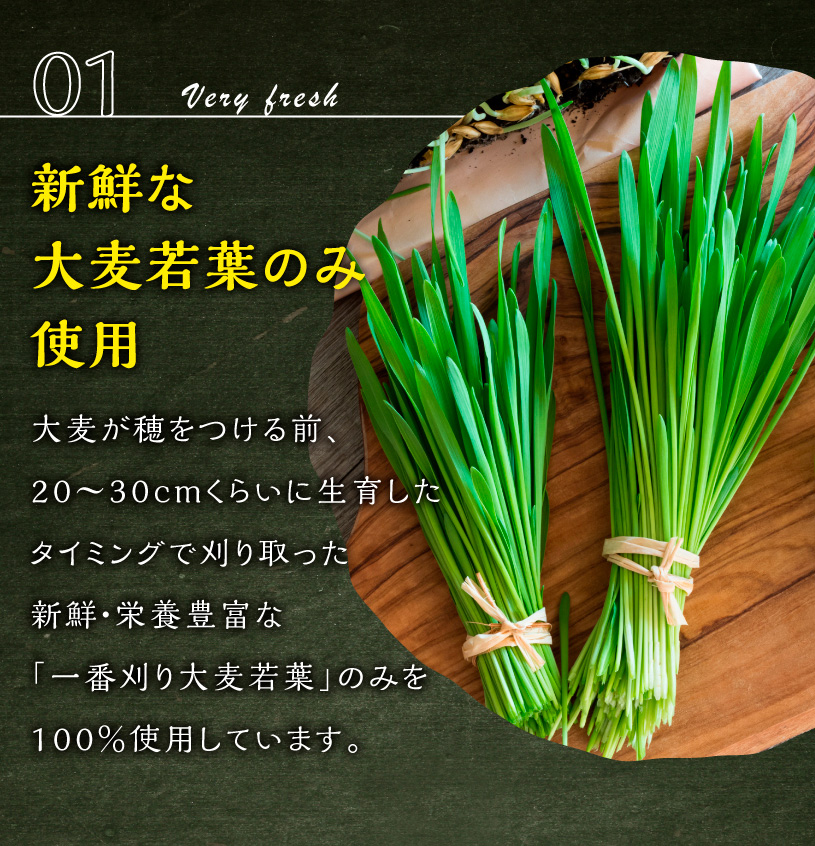 一番刈り大麦若葉粉末(ニュージーランド産)