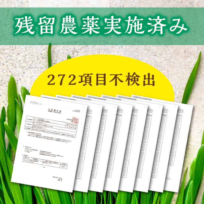 一番刈り大麦若葉粉末(ニュージーランド産)