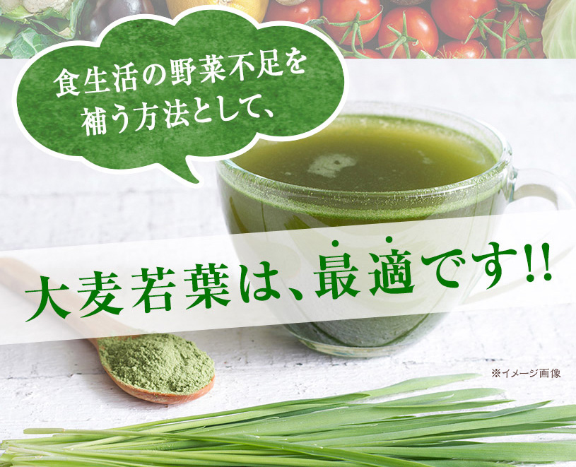 一番刈り大麦若葉粉末(ニュージーランド産)